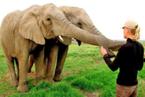 Gap Years, Backpacking &amp; Travelling in Africa