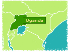 Gap Year Volunteering in Uganda