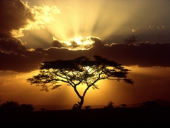 Gap Year Volunteer Projects for Backpackers & Budget Travellers!