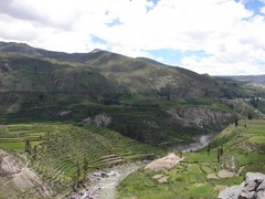 Flight of the Condor Peru Tour