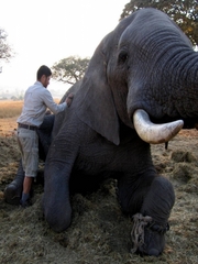 Budget Gap Year Volunteering Programs Abroad