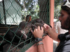 Animal Rescue Volunteer, Vietnam