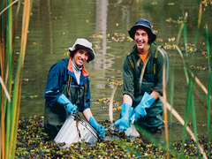 Conservation Volunteer Projects in New Zealand