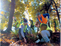 Conservation Volunteer Programs in Australia
