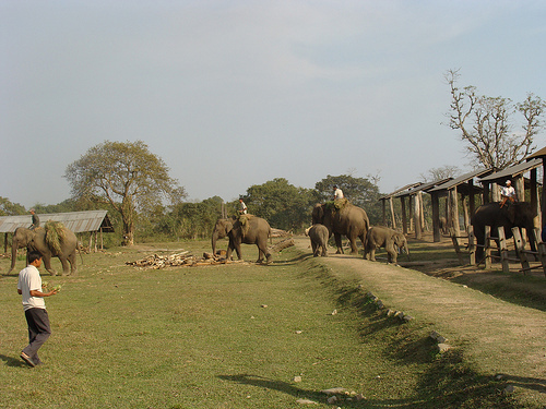 Environmental Action Volunteer Projects in Nepal
