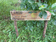 Galapagos Conservation Projects Ecuador