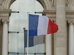 Internships in France with 4 week Language Course