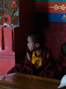 Volunteer as a Teaching Assistant in Buddhist Monasteries in Nepal