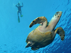 April 2011: Mexico Volunteer & Adventure Tour