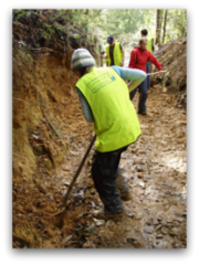 Travel & Volunteer in New Zealand: Conservation Projects