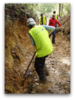 Travel & Volunteer in New Zealand: Conservation Projects