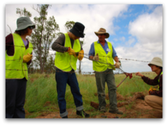 Gap Year Volunteering and Travel in Australia