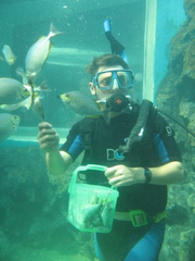 Royal Sea Sanctuary Conservation Project Thailand