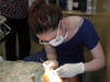 Medical Dental Electives in Asia