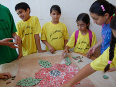 Summer Camp Volunteer Work in Israel