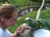 Environment project placement in Galapagos in Ecuador