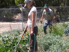 Australia Wildlife Sanctuary Volunteers - Kangaroo Island
