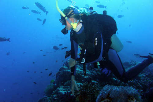 Scuba diving marine conservation