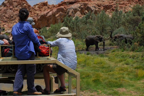 Volunteer with Elephants in Namibia and Botswana