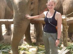 Thailand Elephant Care Experience