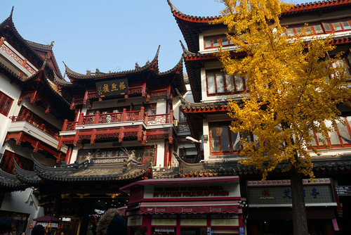3-Day Essence of Shanghai Tour