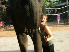 Volunteer at a Thai Elephant Park in Chiang Mai