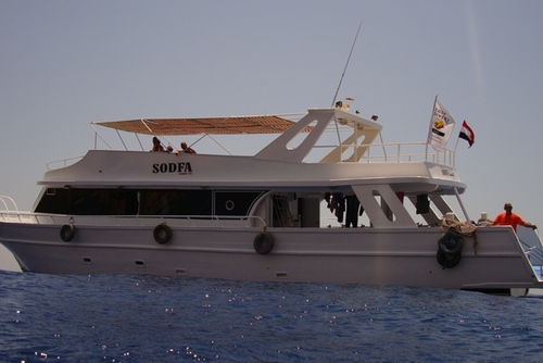 5 Days Diving + 1 Week Hotel, Sharm el-Sheikh, Egypt