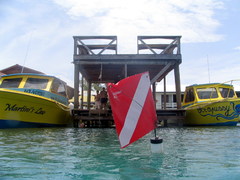 1 Week Scuba Dive Packages in the Bay Islands of Honduras