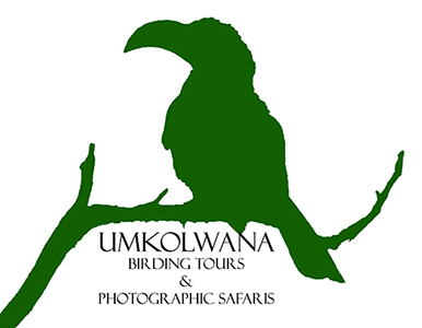 Umkolwana Birding Tours and Photographic Safaris