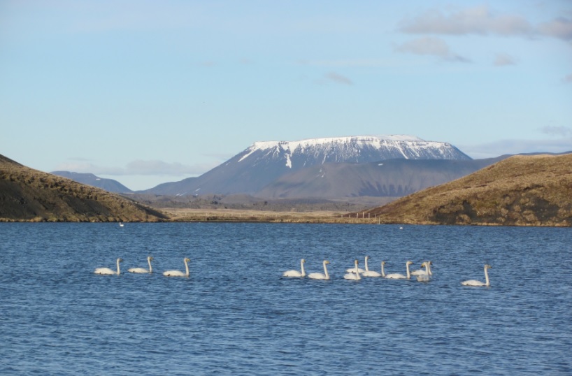 Go North My Friends - To Lake Myvatn, Iceland!