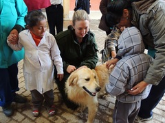 Canine Therapy in Bolivia or Argentina