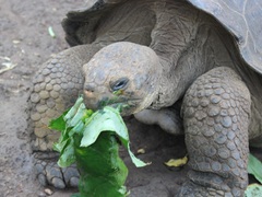 Galapagos Islands Conservation Project
