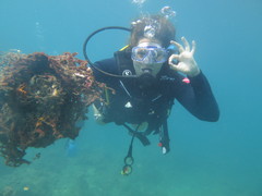 Diving & Marine Conservation in Cambodia