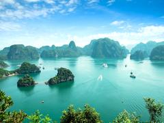 Vibrant Vietnam: Culture, Conservation & Nature Tour