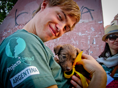 Animal Care Projects Abroad