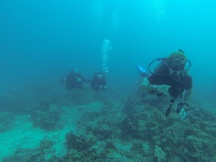 Underwater Filmmaker Internship, Thailand