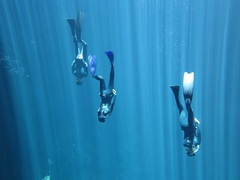 Freedive Training, Playa del Carmen, Mexico
