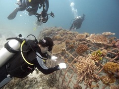 SSI Dive Control Specialist Courses, Gili Trawangan, Indonesia