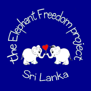 The Elephant Freedom Project