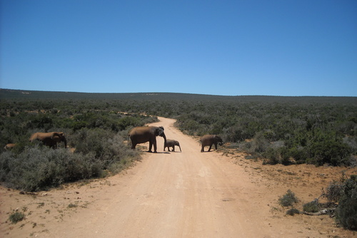 How to Plan a Road Trip in Southern Africa