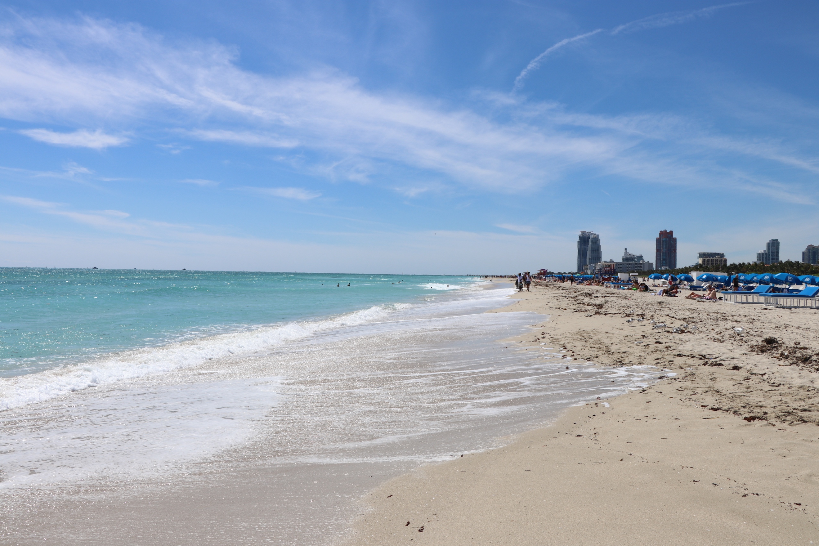 5 of the Best Things to Do in Miami