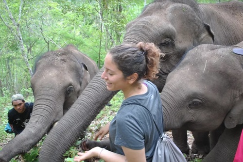 Thailand elephant sanctuary 