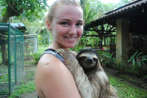Volunteer with Sloths