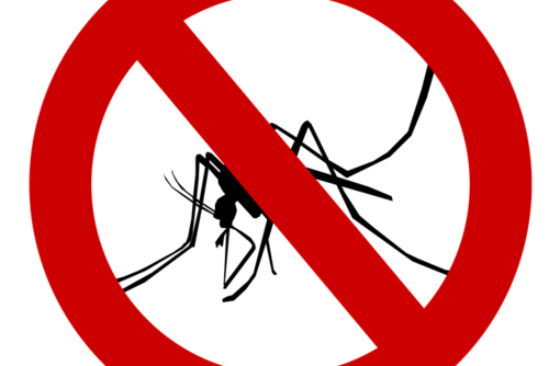 Top Tips How to Avoid Getting Malaria