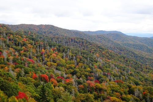5 Best Things to Do in The Great Smoky Mountains