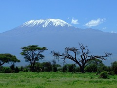Top 10 Reasons to Climb Kilimanjaro