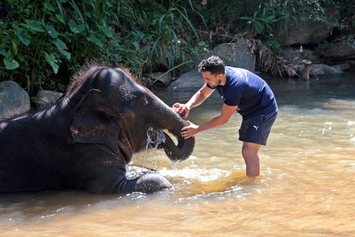 The Elephant Freedom Project in Sri Lanka
