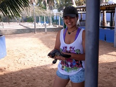 My Life Changing Experience Helping Sea Turtles in Sri Lanka