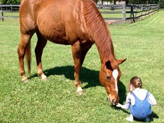 Children's Autism and Horse Therapy USA