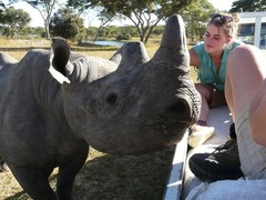 Rhino And Elephant Volunteering in Zimbabwe